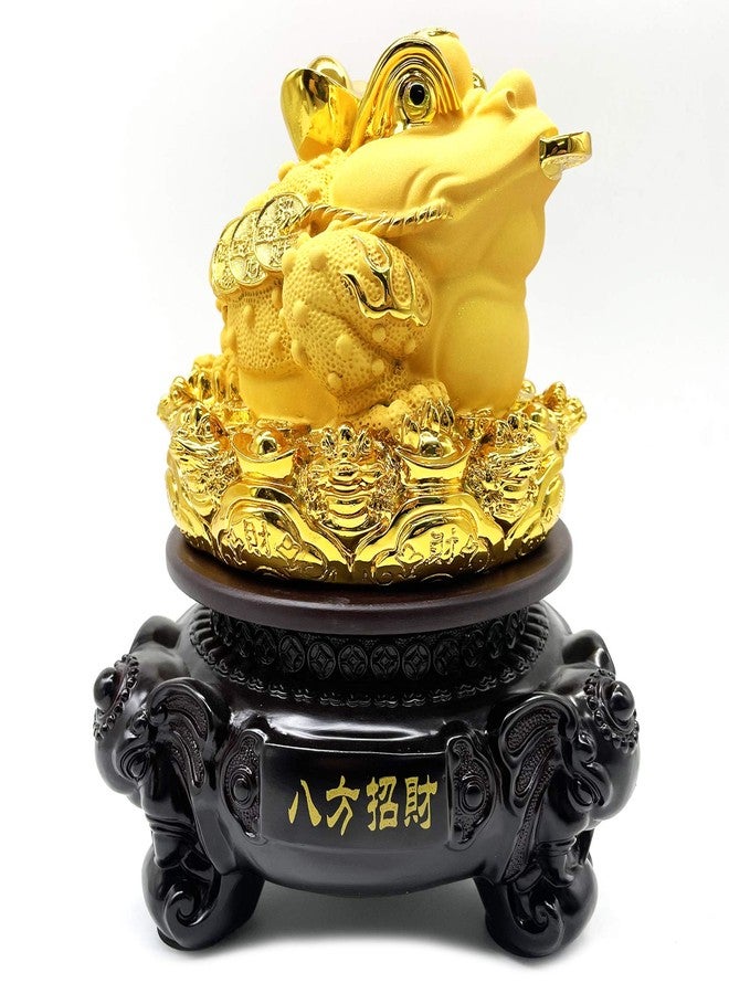 FUNSXBUG 8 Inch Height Gold Chinese Feng Shui Money Frog (Three Legged Wealth Frog or Money Toad) Statue with Rotating Base Feng Shui Decor Home Office Decoration Tabletop Ornaments Good Lucky Gifts - Image 5